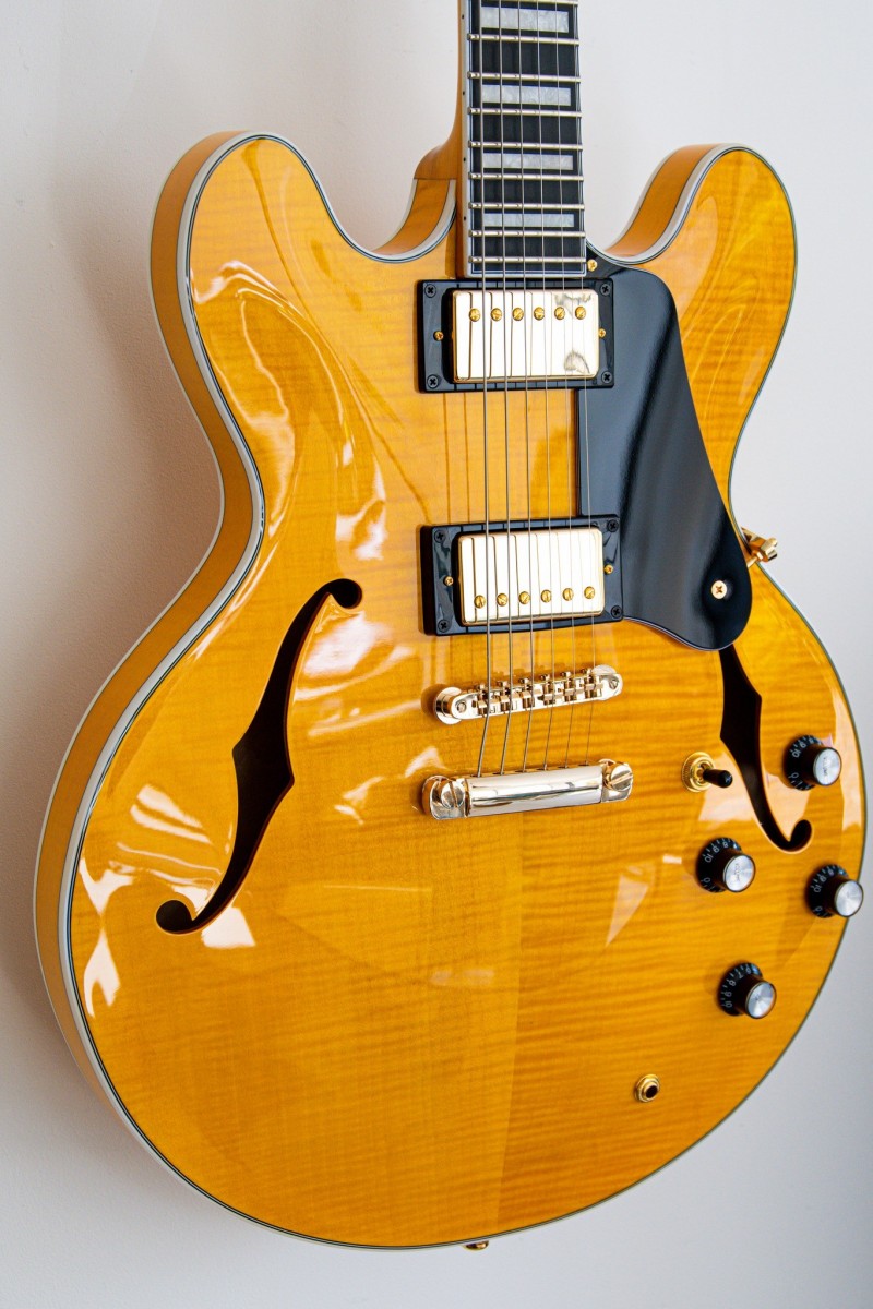 Guitare électrique semi hollow...
