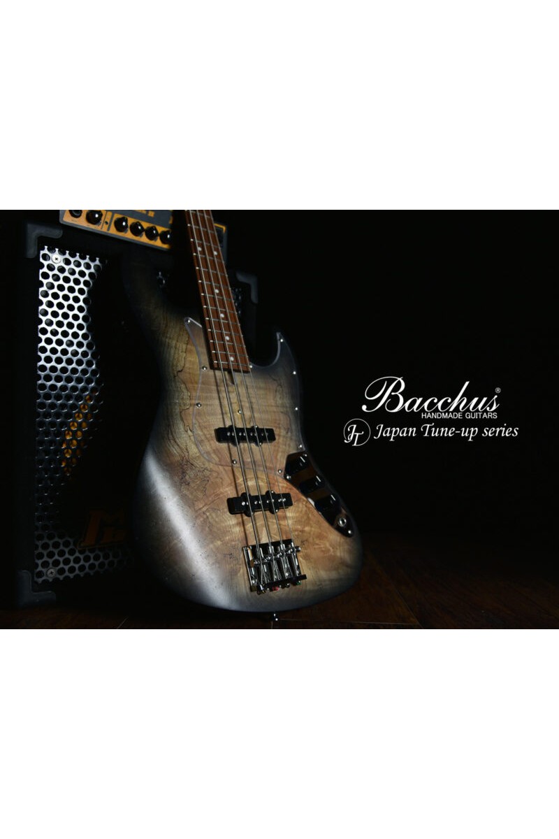 BACCHUS WL5-SPM-AC RSM/M BLKS-B...