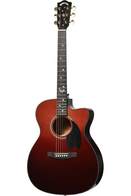 Guitarra acústica HEADWAY...