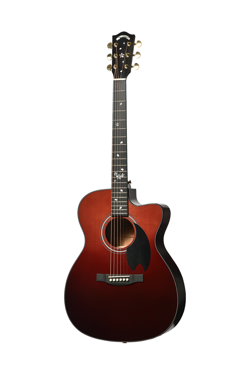 Chitarra acustica HEADWAY...