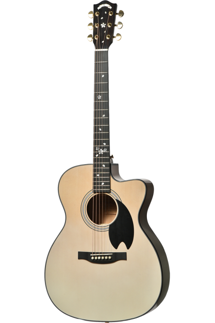 Guitare électro-acoustique...