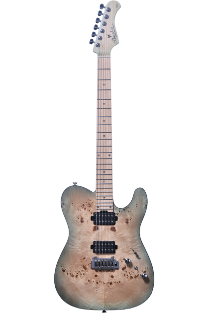 Guitare électrique BACCHUS...