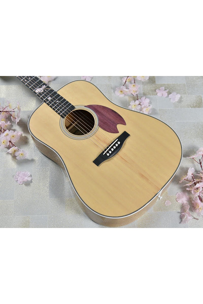 Chitarra acustica HEADWAY...