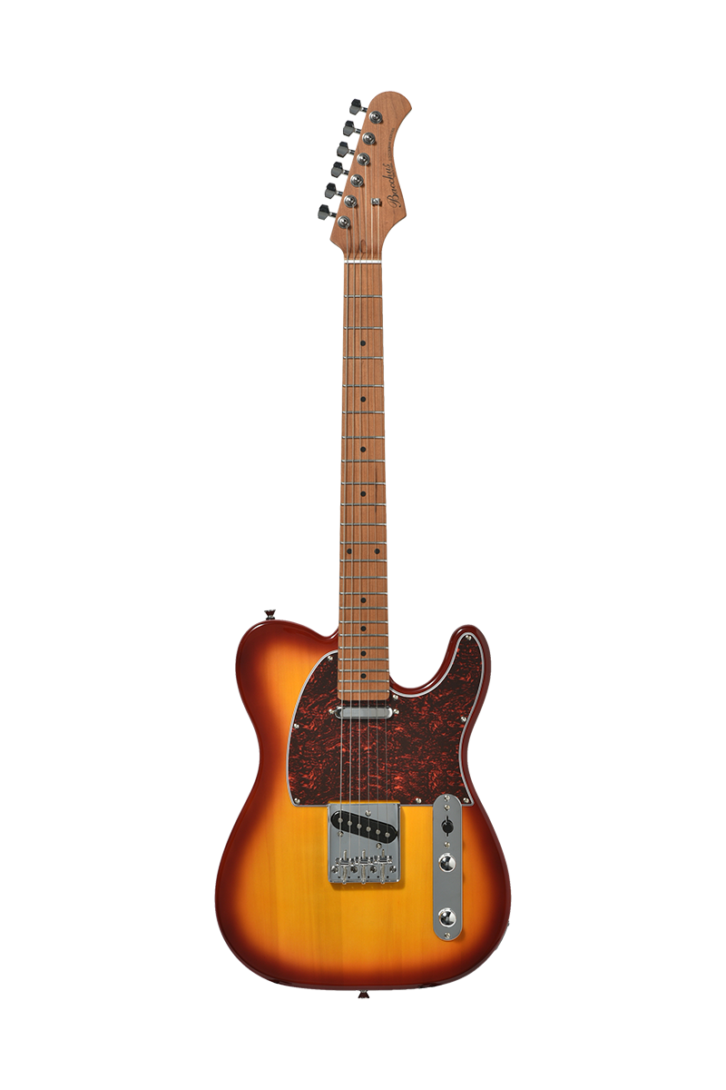 Electric guitar BACCHUS BTE-1DX RSM/M