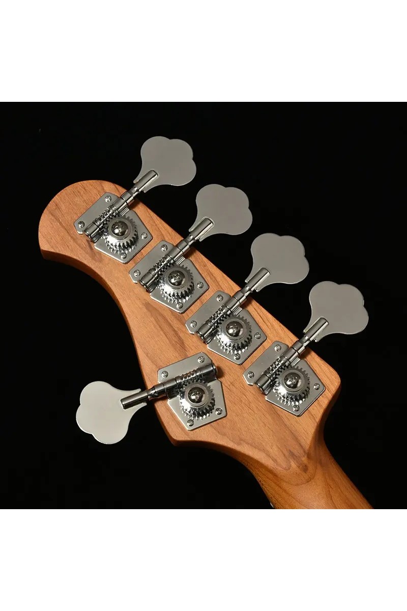 5-string bass BACCHUS WJB5-1DX-AC RSM/M LPB | Japanguitar-handmade.com