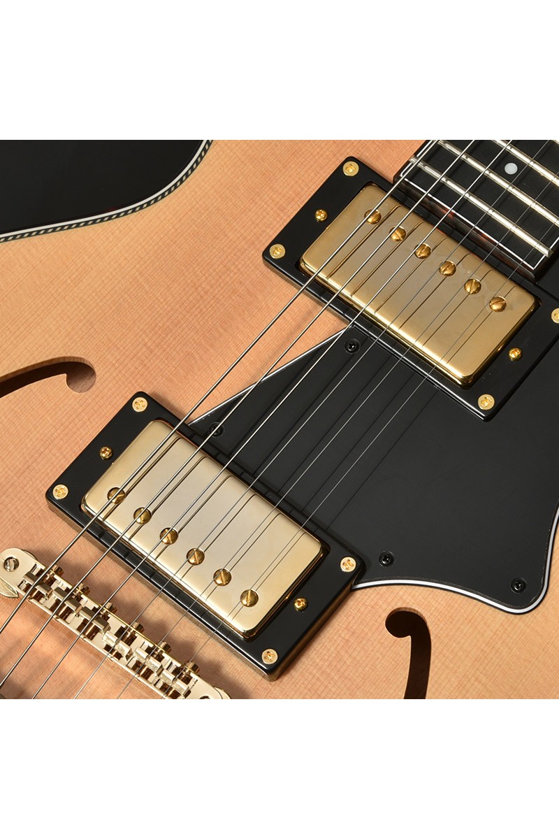 Semi-Hollow guitar SeventySeven ALBATROSS-JAZZ-JT | Japanguitar-han