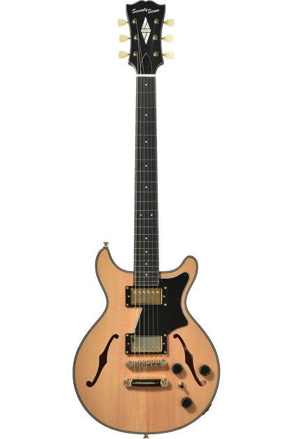 Chitarra semi-hollow...