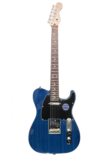 Guitare électrique Momose...