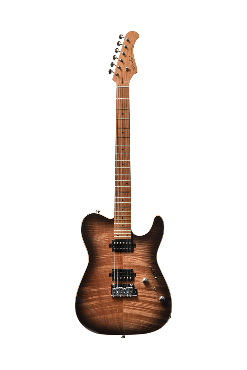 Guitare électrique BACCHUS TAC24...
