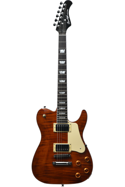 BACCHUS BARON-FM electric...