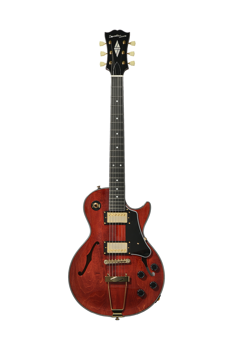 Guitare électrique semi-Hollow...