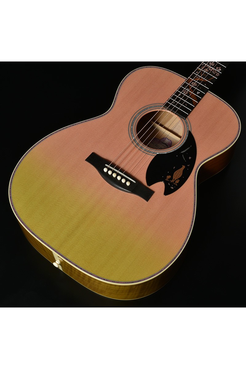 Guitare acoustique HEADWAY...