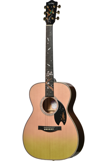 Guitare acoustique HEADWAY...