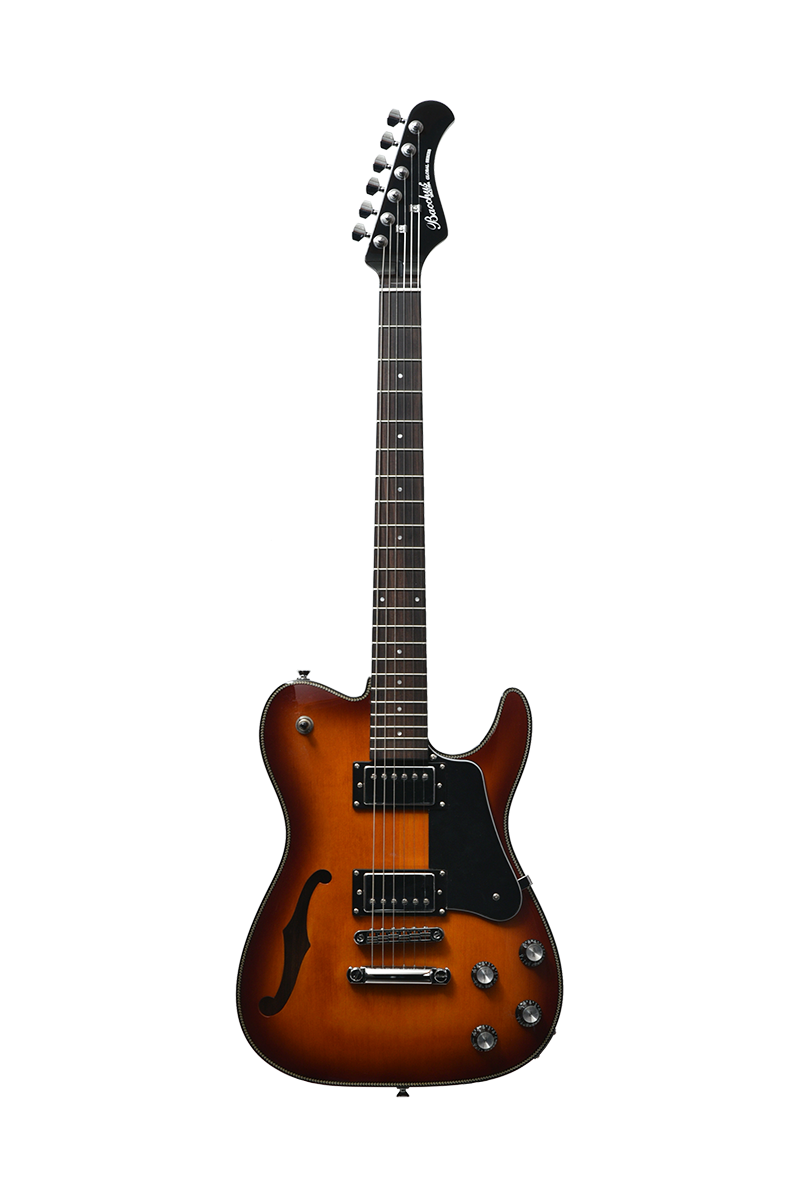 Guitare électrique semi-hollow...