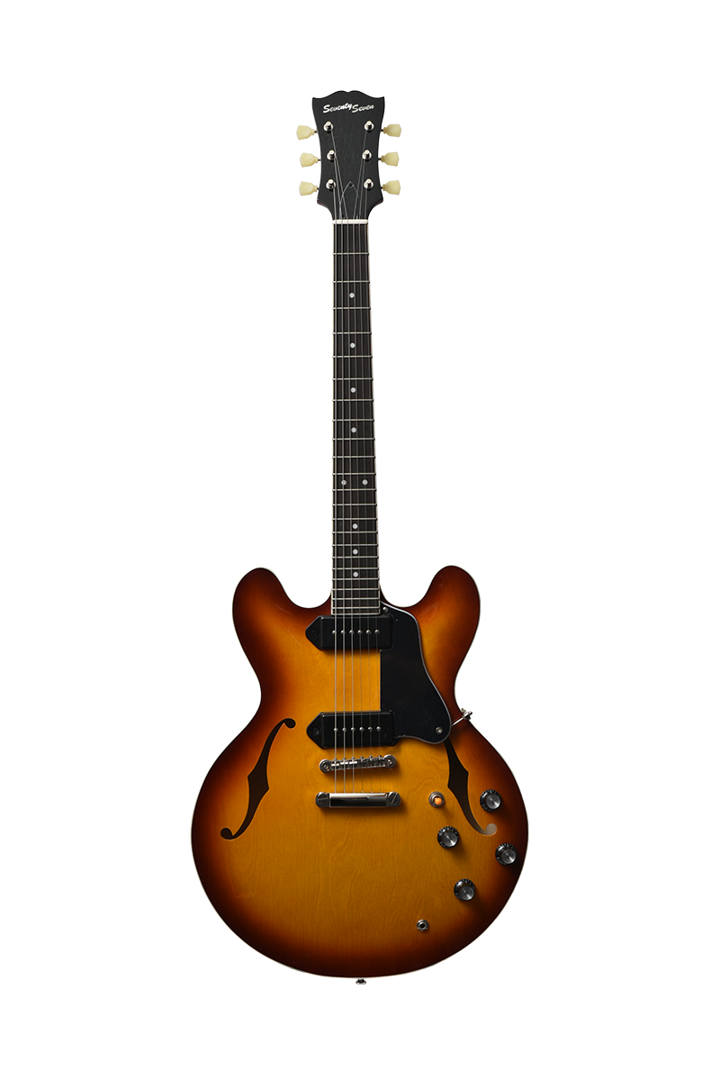 Guitare électrique semi-hollow...