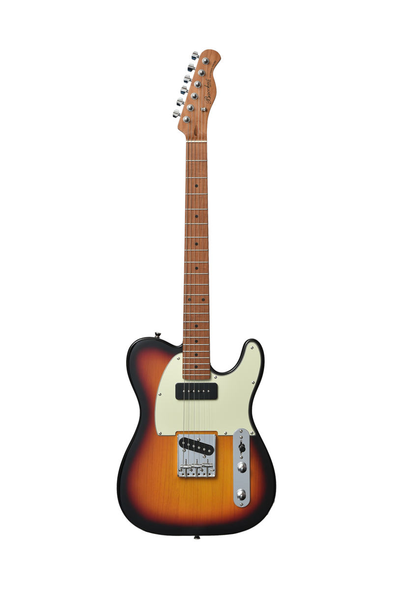 BACCHUS BTE-2-RSM/M electric guitar