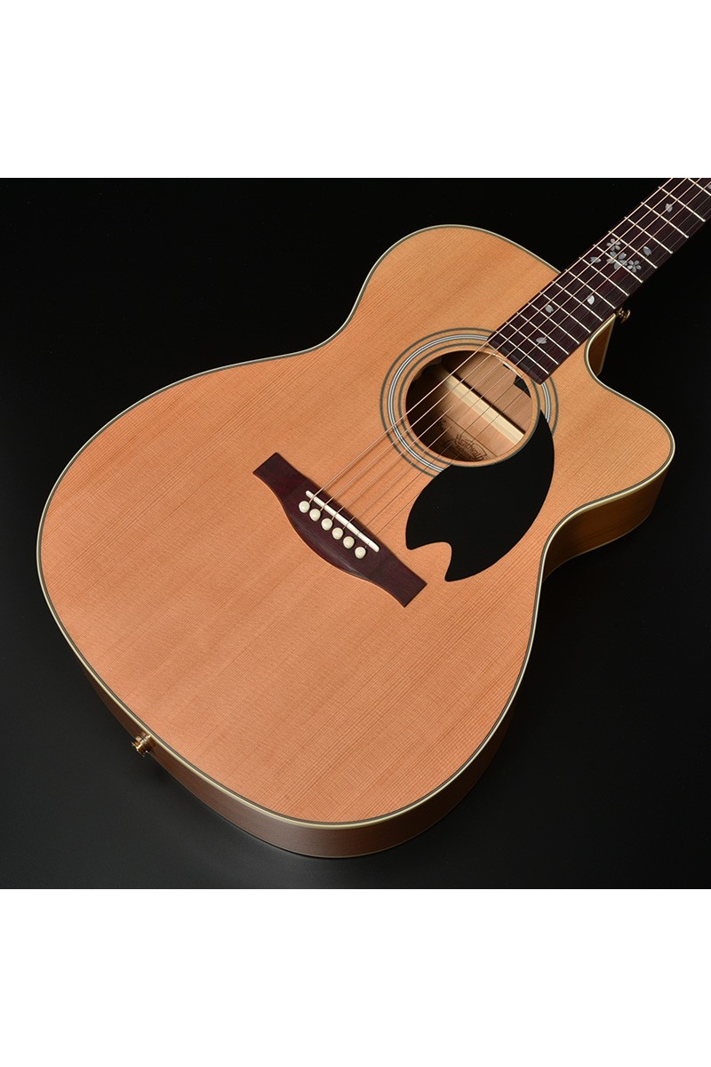 Guitare électro acoustique Headway...