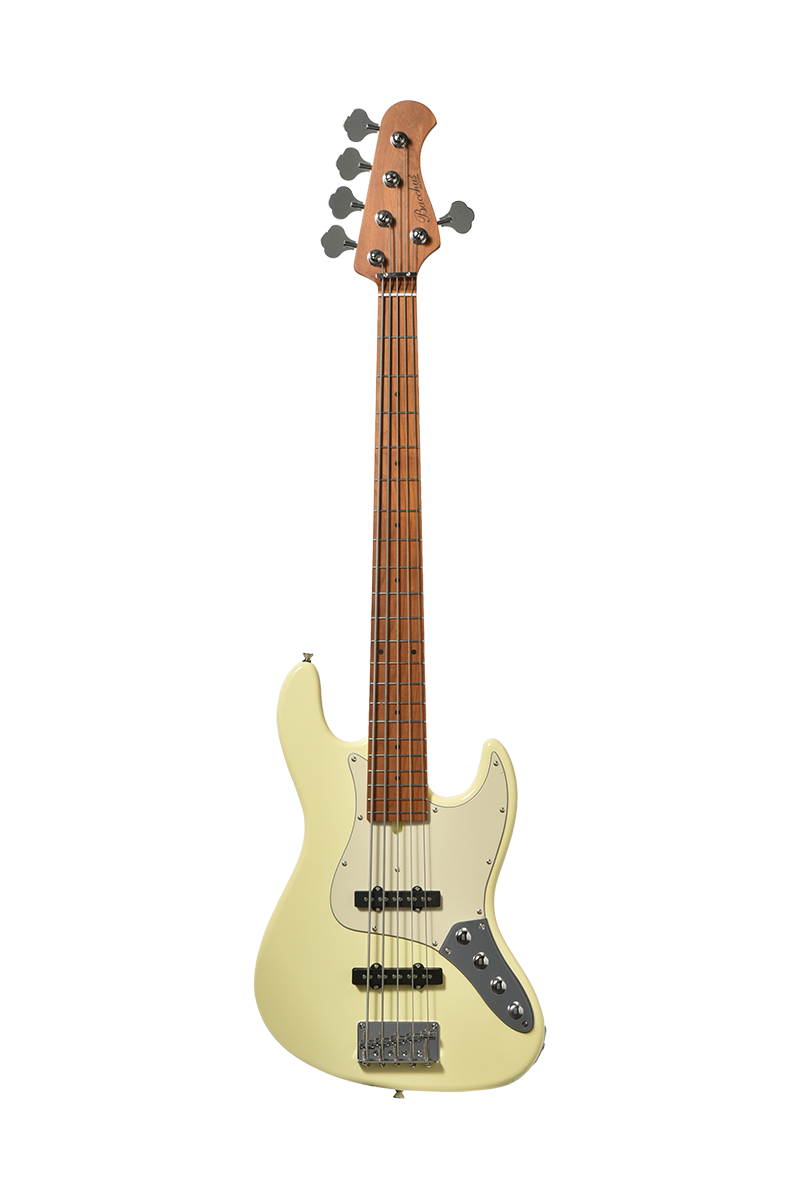 Basse 5 cordes BACCHUS WJB5-1DX-AC RSM/M