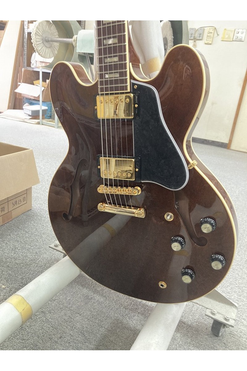 Guitare Électrique Semi-Hollow Momose...