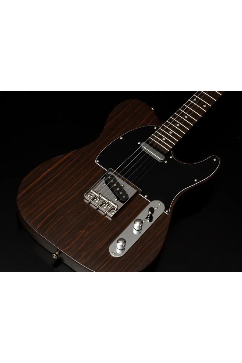 Guitare Électrique BACCHUS BTE-TW...