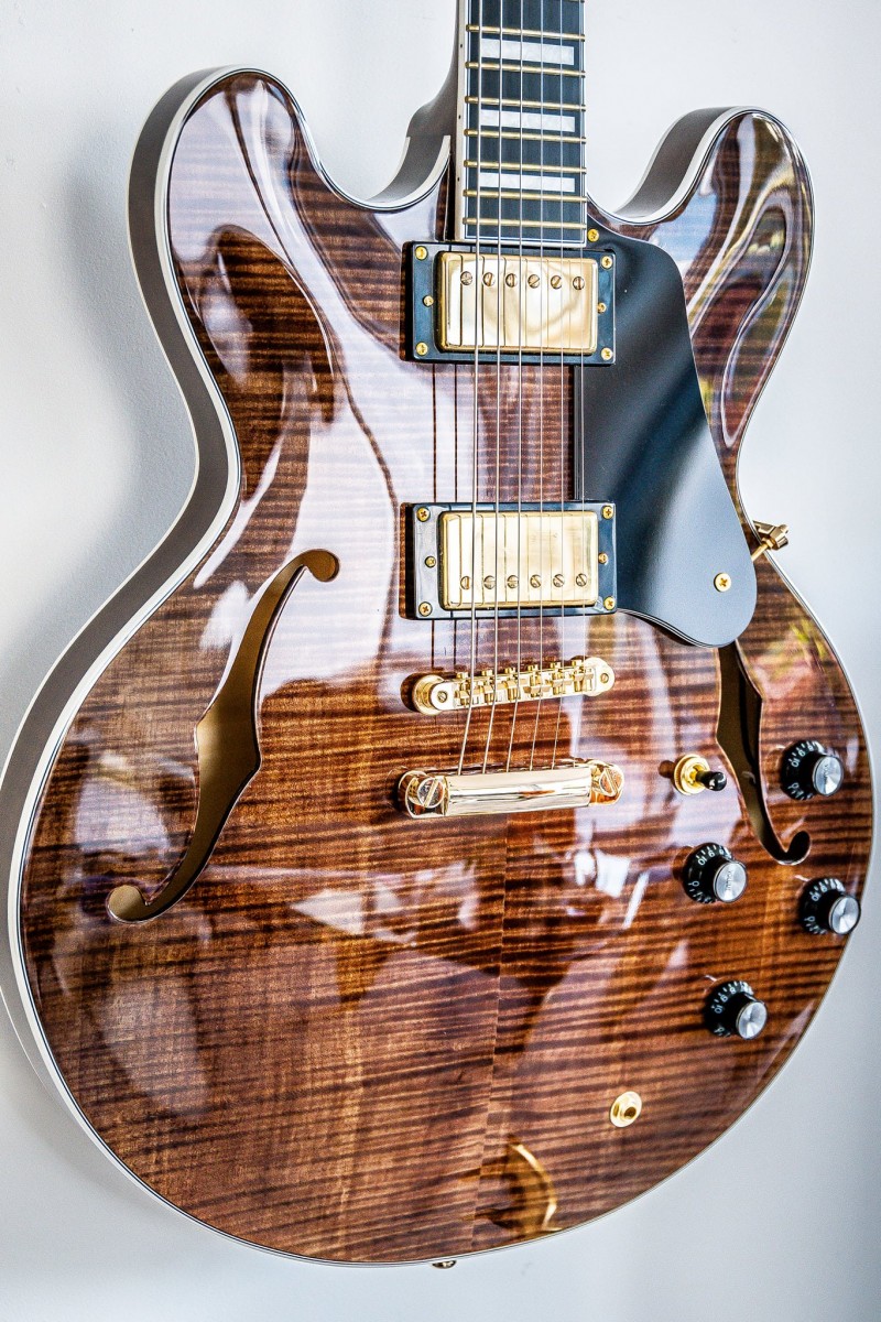 Guitare électrique semi hollow...